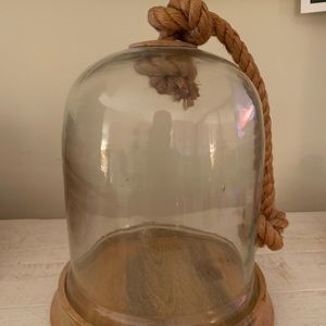 Terrarium or can be used for decoration